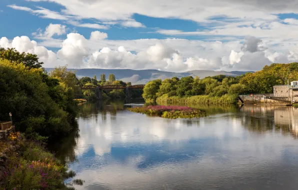 Picture Kerry, bridge, Ireland, trees, greens, summer, the sun, Killorglin