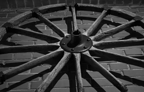 Metal, wall, tree, brick, wheel, black and white