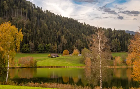 Field, autumn, forest, mountains, house