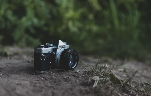 Grass, retro, camera, olympus, fotoapparat, Olympus