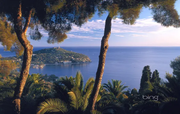 Sea, the sky, clouds, trees, nature, Palma, mountain, Cape