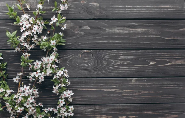 Flowers, branches, Flowers, spring, wooden background