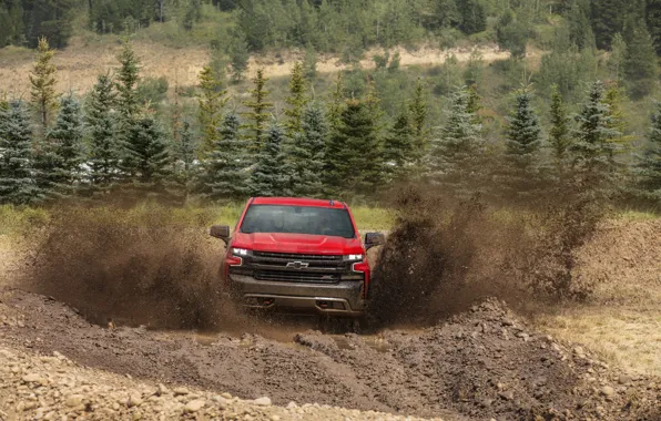Picture trees, red, earth, Chevrolet, dirt, pickup, Silverado, Z71