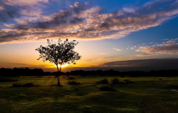 Sunset, England, Fritham