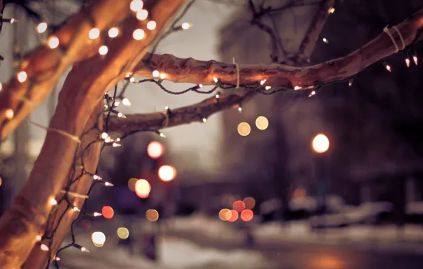 Winter, the city, lights, tree, mood, Christmas, Christmas, light bulb