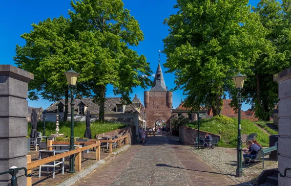 Picture trees, Netherlands, street, Elburg