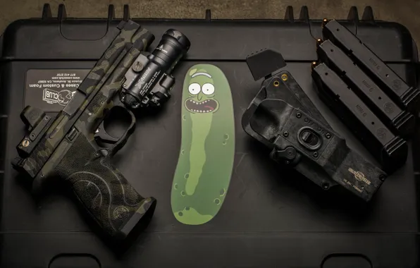 Gun, flashlight, clips