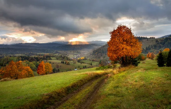 Road, field, autumn, forest, the sky, clouds, mountains, clouds