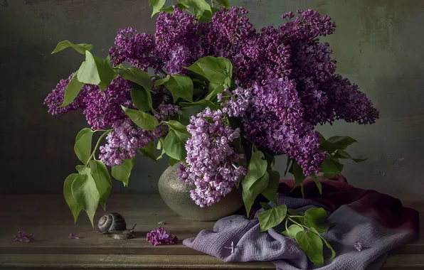 Table, Background, Lilac, Snail, Irina Shipunova