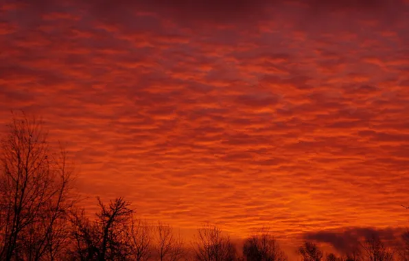 Red, sky, sunset, cloud