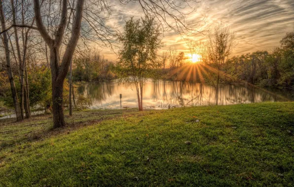 Nature, dawn, morning