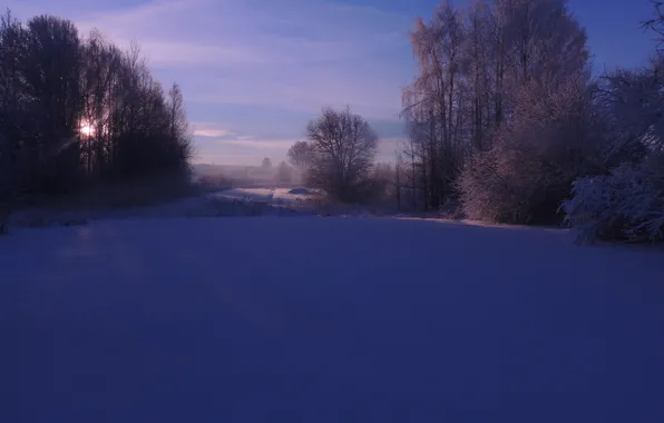 Winter, the sun, frost