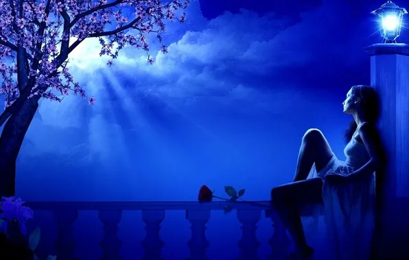 Flower, girl, clouds, night, tree, the moon, lantern