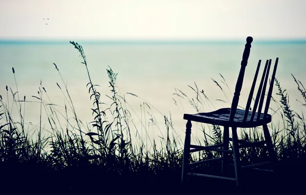 Picture sea, grass, birds, horizon, chair