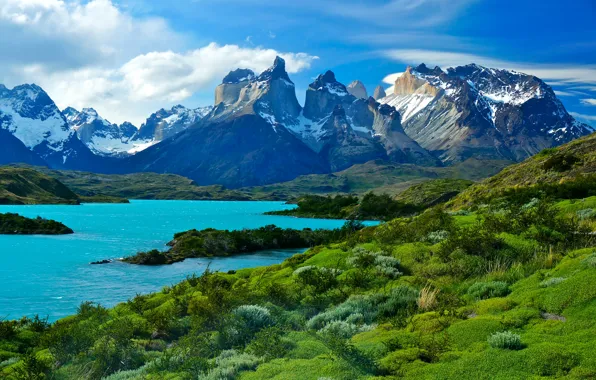 Grass, mountains, lake, shore, Chile, Patagonia, Pehoe Lake