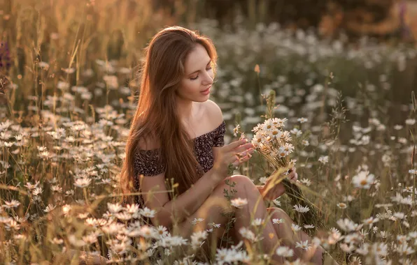 Field, summer, girl, flowers, nature, chamomile, dress, brown hair