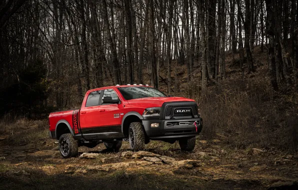 Forest, red, stones, SUV, Dodge, pickup, Ram, 2500
