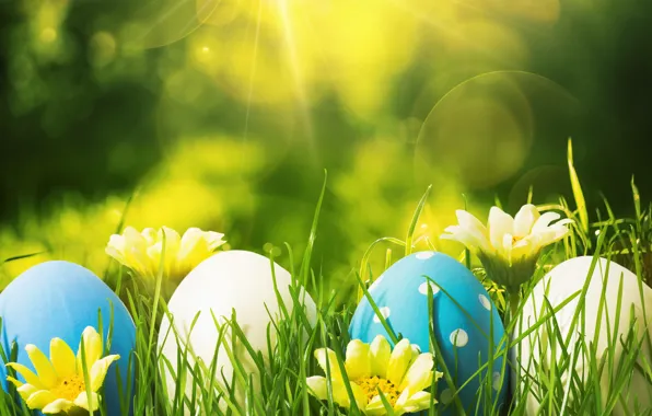 Flowers, eggs, spring, Easter, flowers, spring, Easter, eggs