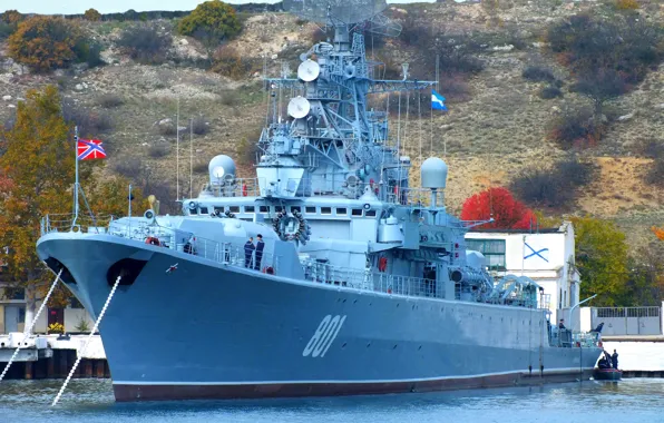 Ship, guard, 1135 project, Okay, cipher puffin