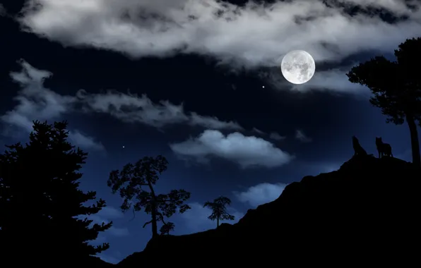 The sky, landscape, night, the moon, stars, wolves