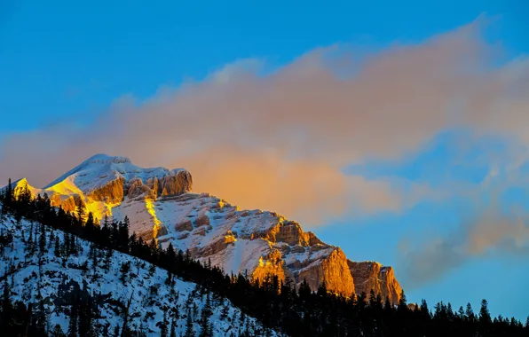 Winter, the sky, snow, trees, sunset, rock, mountain, slope