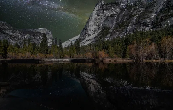 Picture the sky, stars, trees, mountains, night, lake