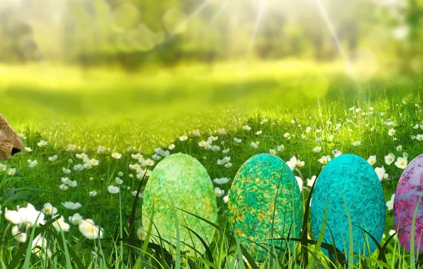Tree, Grass, Easter, Eggs, The Easter Bunny