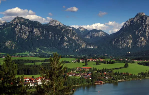 Greens, field, forest, the sky, the sun, clouds, trees, mountains