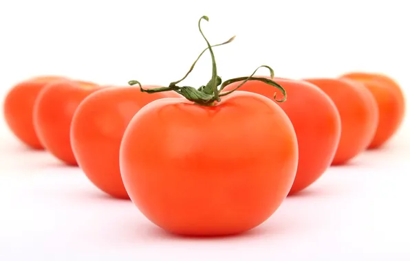 Picture food, vegetables, tomato, tomato, Stroy, vegetable