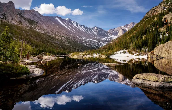 Picture forest, snow, mountains, shore, Canada, Albert, pond