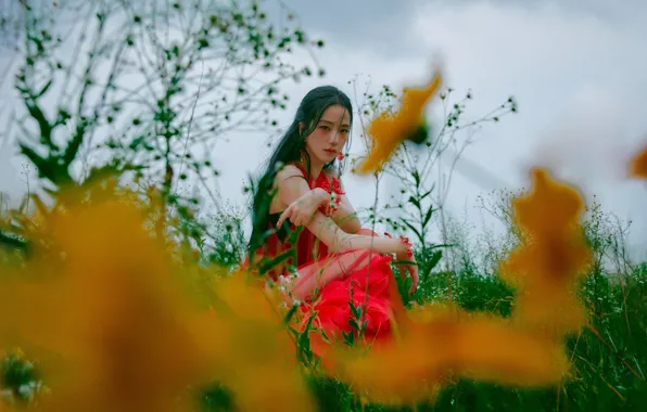 Flower, Wallpaper for desktop, kpop, blackpink, blackpink, kim jisoo, kim jisoo, kim ji soo