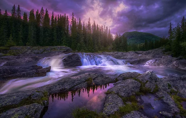 Forest, trees, sunset, mountains, stream, stones, for, the evening