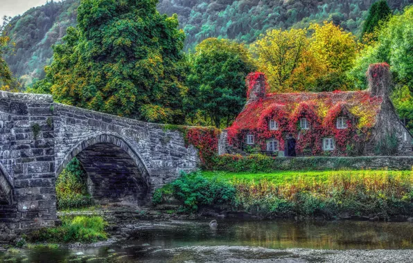 Trees, bridge, house, river, Wales, Century Cistercian monastery