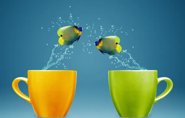 Picture water, fish, splash, mugs