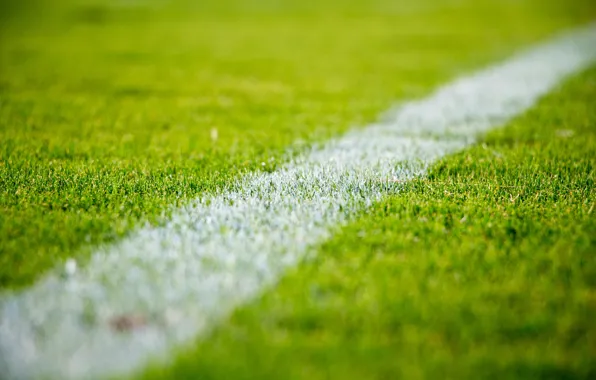 Picture grass, lawn, football field