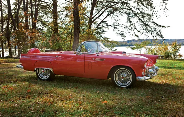 Ford, Ford, 1965, retro cars, Thunderbird, retro cars, Ford Thunderbird Convertible