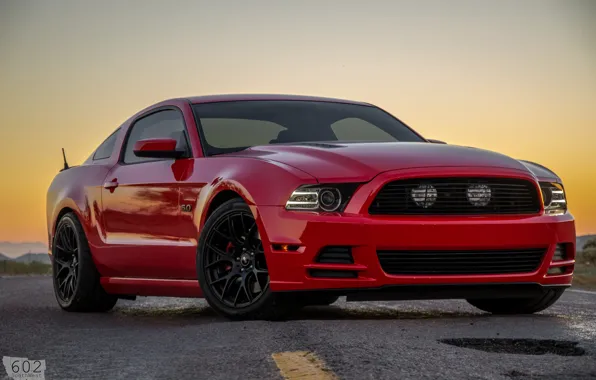 Picture Mustang, Ford, 2013