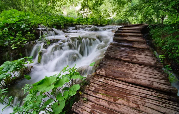 Bridge, nature, river