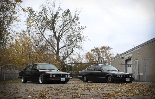 Picture autumn, leaves, tuning, BMW, BMW, drives, classic, tuning