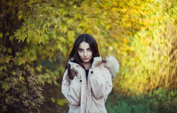 Picture look, girl, brunette, bokeh, Ilya Arte