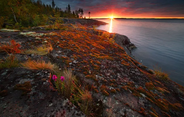 Forest, landscape, sunset, nature, stones, shore, Lake Ladoga, Karelia