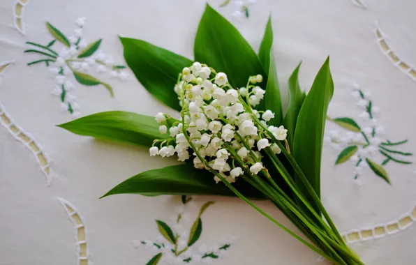 Lilies of the valley, a bunch, tablecloth