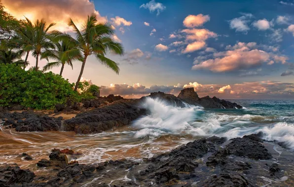 Clouds, stones, palm trees, the ocean, rocks, surf, Hawaii, hawaii