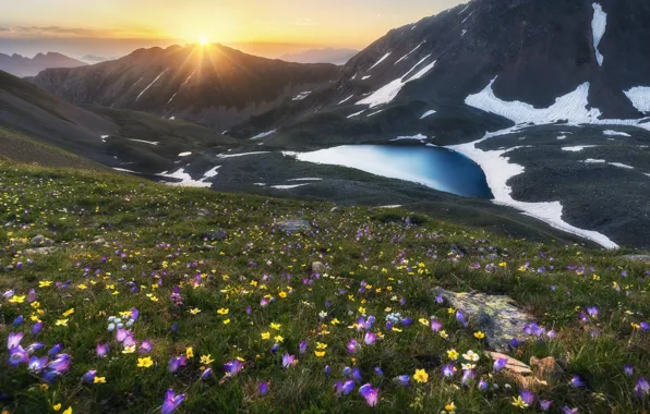 Picture the sun, rays, snow, landscape, flowers, mountains, nature, lake