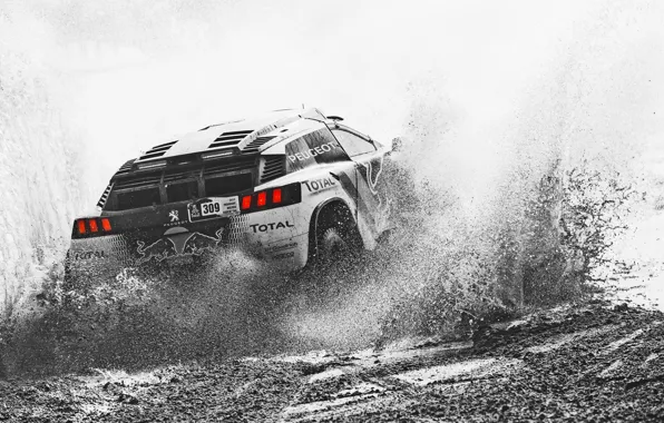 Sport, Speed, Race, Dirt, Peugeot, Squirt, Lights, Red Bull