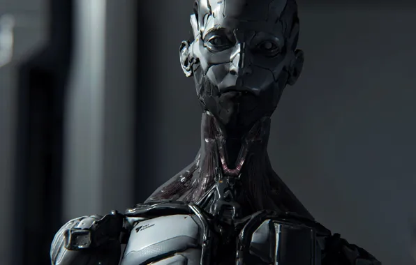 Face, robot, skeleton, Android, pragmata