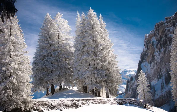 Picture winter, snow, trees, landscape, mountains, nature, rocks, ate