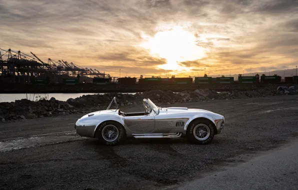 Car, Shelby, Cobra, side view, Shelby Cobra 427 S/C