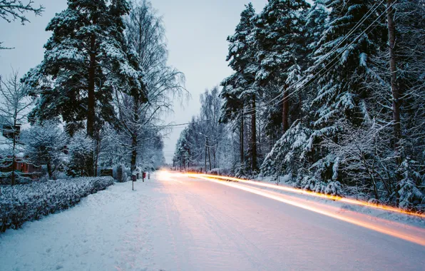 Winter, road, snow, trees, nature, tree, excerpt