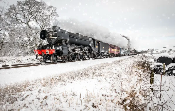 Winter, road, snow, train